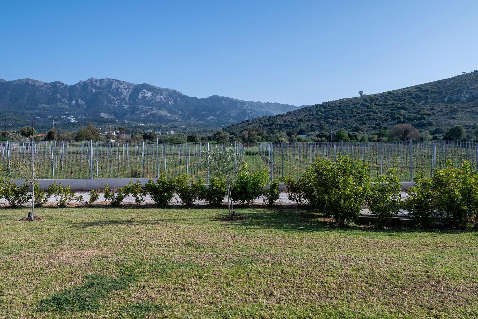Olive Tree Garden Linopotis Exterior foto